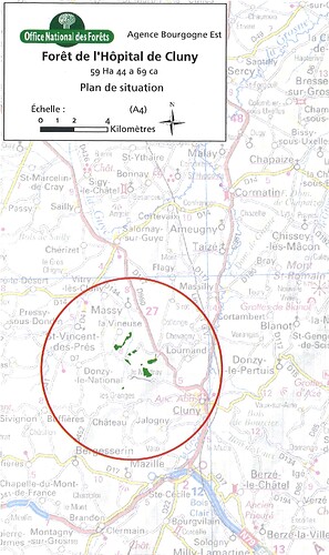Plan de situation- forêt de l'Hôpital de Cluny