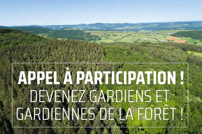 ccclunisois-gardien-de-la-foret-1