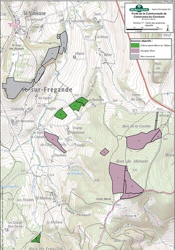 carte forêt CCC 2025 essences
